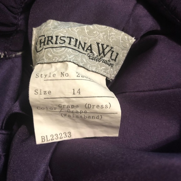 Christina Wu Grape Chiffon Long Evening Gown! - Picture 5 of 7